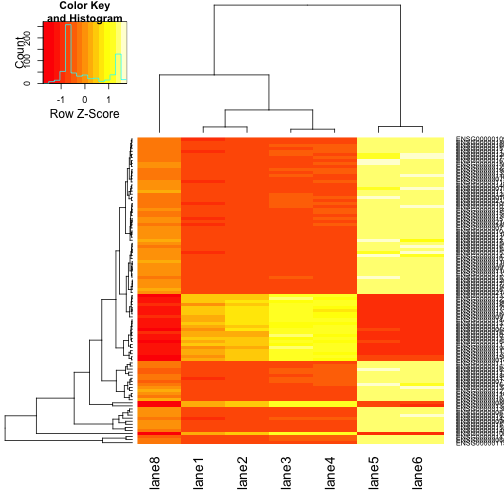 CAGE data analysis