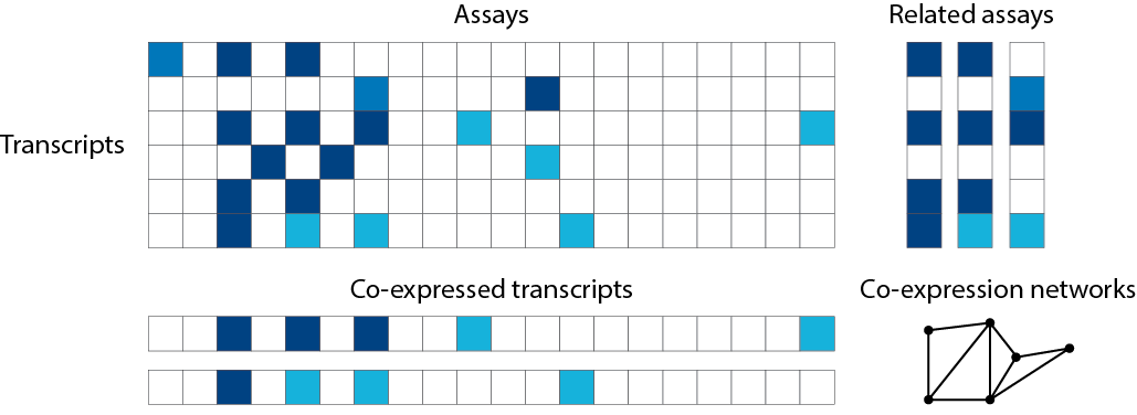 Co-expression