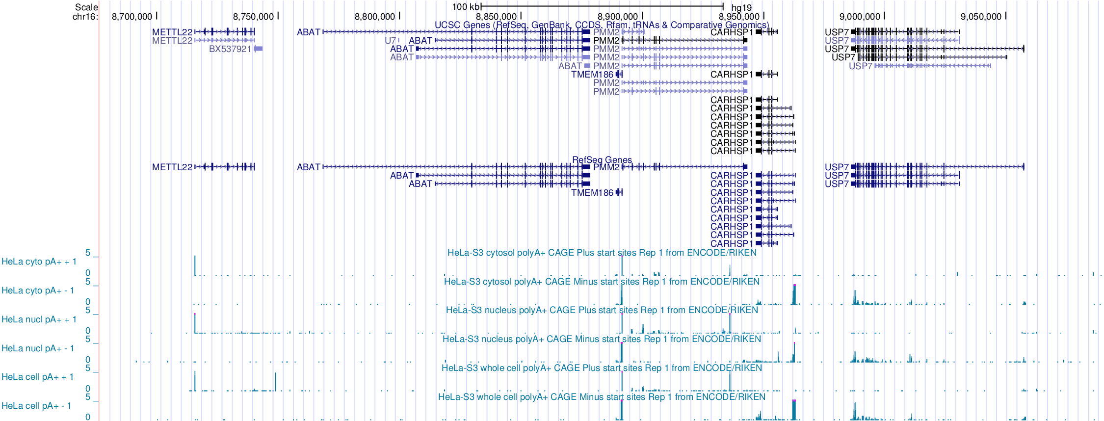 UCSC Genome Browser screenshot